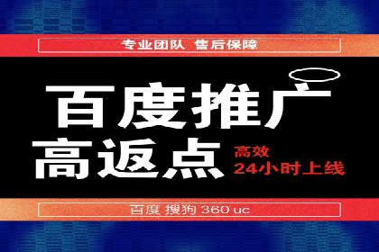 百度推广费用策略在竞争激烈市场的应用案例